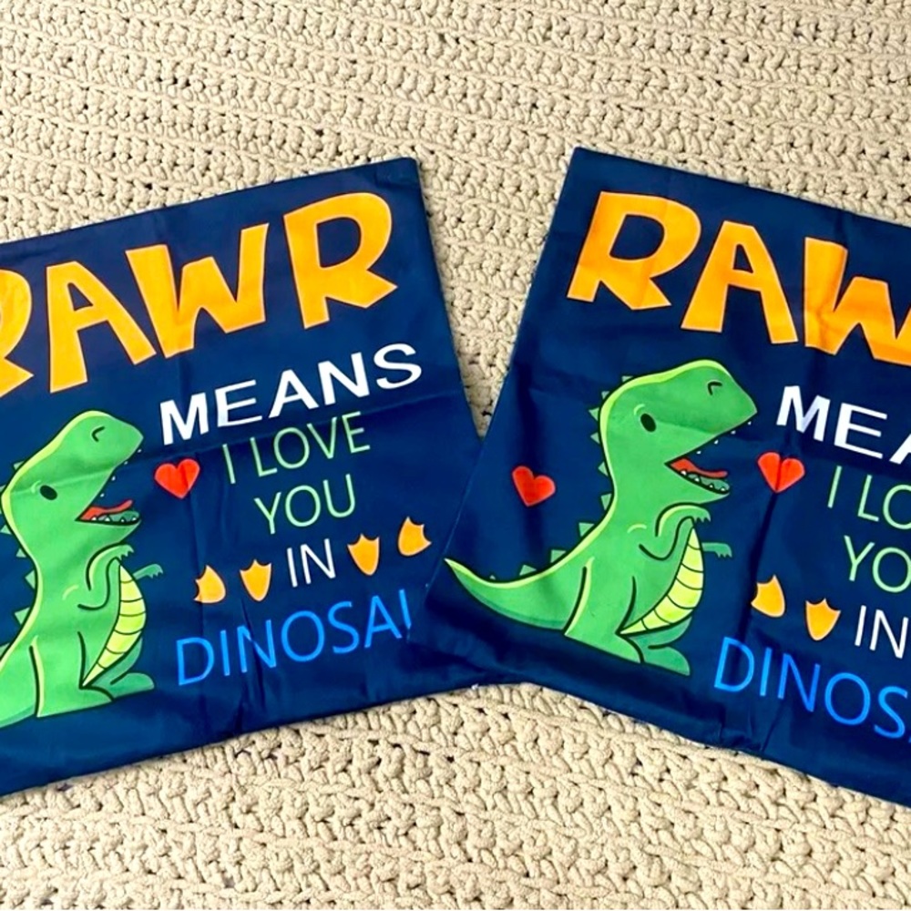 Set of 2 RAWR Means I Love You T-Rex Dinasaur 18” X 18” Pillow Covers